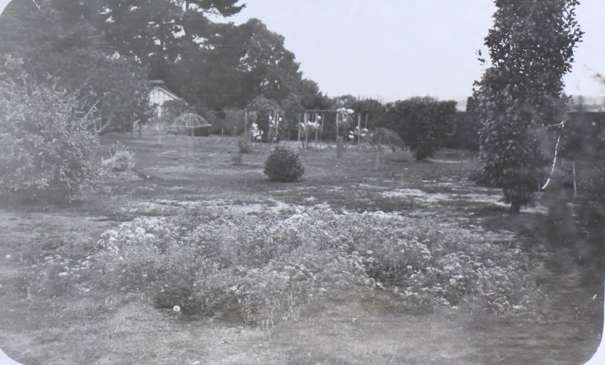 View of the gardens