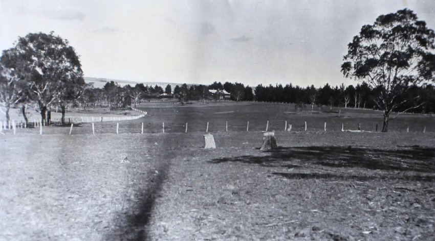 View of Saumarez Homestead from a distance