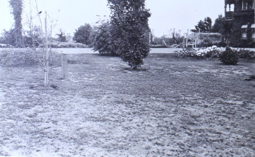 View of Saumarez Homestead and gardens