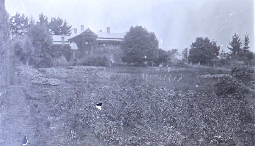 View of Saumarez Homestead and gardens