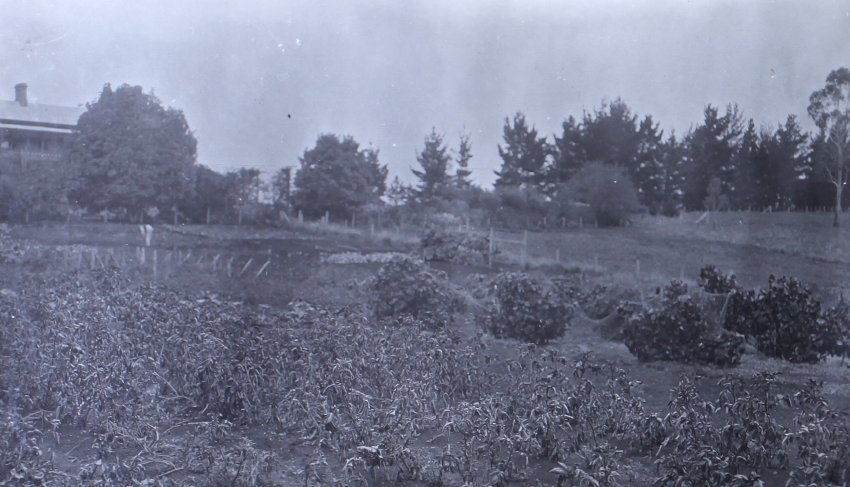View of Saumarez Homestead and gardens
