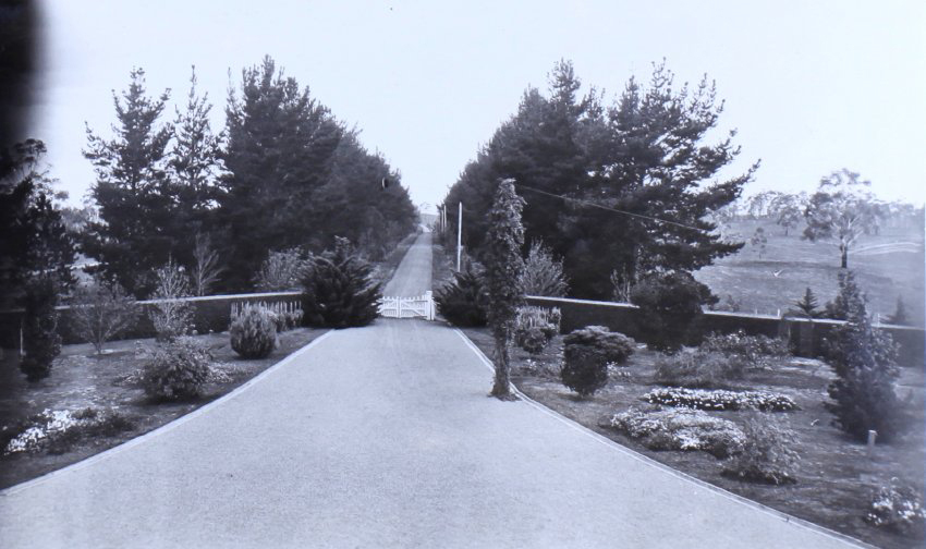 View of gardens beside the driveway