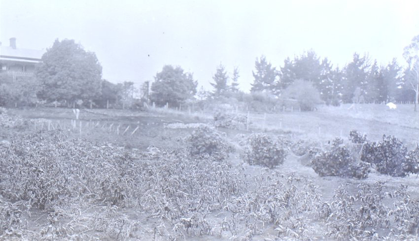 View of the gardens and the house