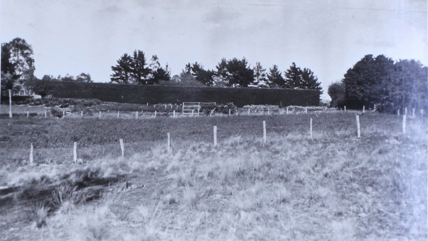 Gardens outside the hedge