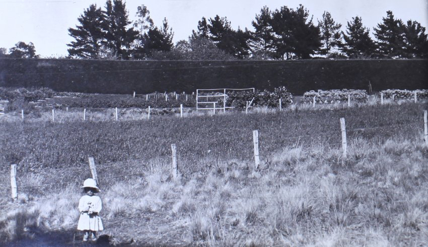 Gardens outside the hedge, small girl in the foreground
