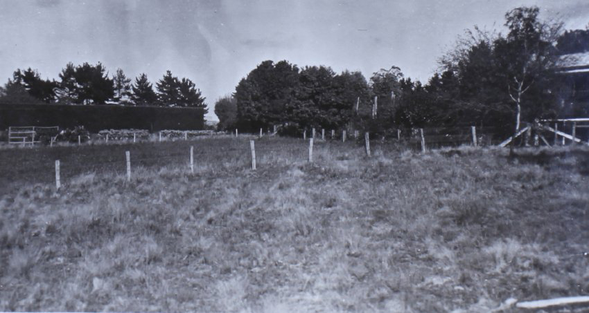 Gardens outside the hedge