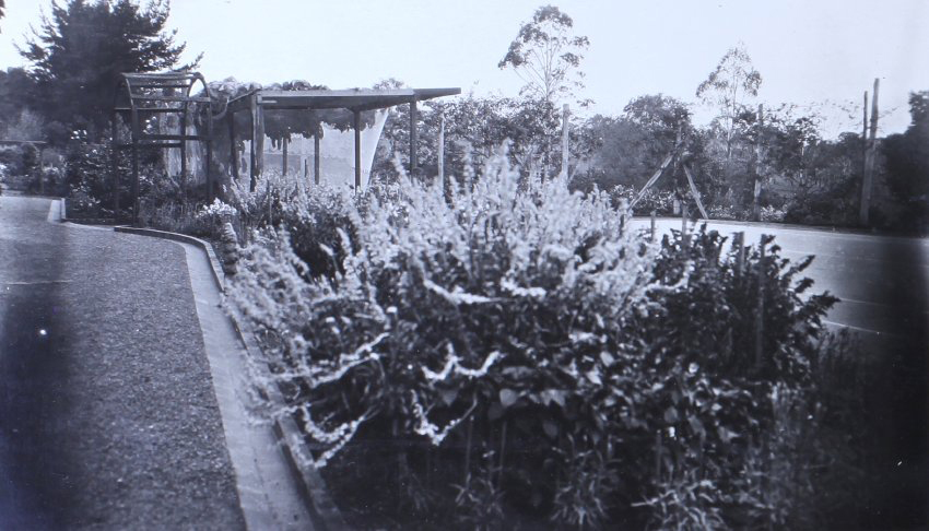 Gardens near the house beside driveway