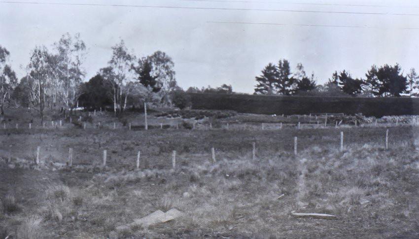 Gardens and paddocks outside the hedge