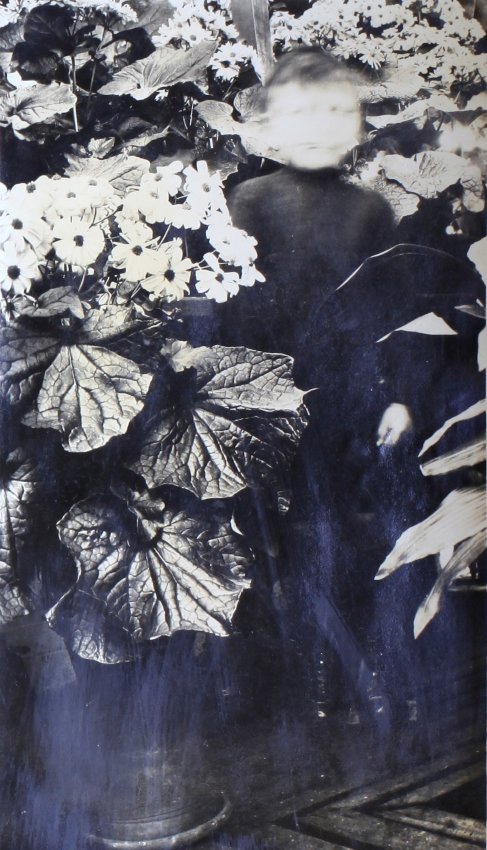 Plants in the greenhouse with a small boy in the foliage