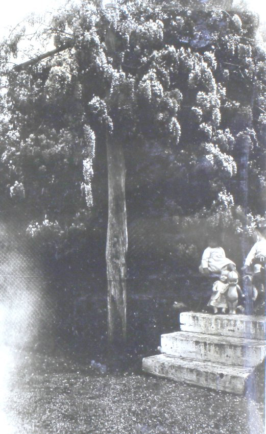 Garden with child and toys on the steps