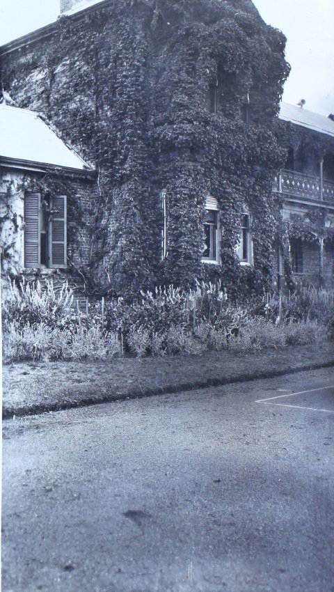 Homestead and gardens