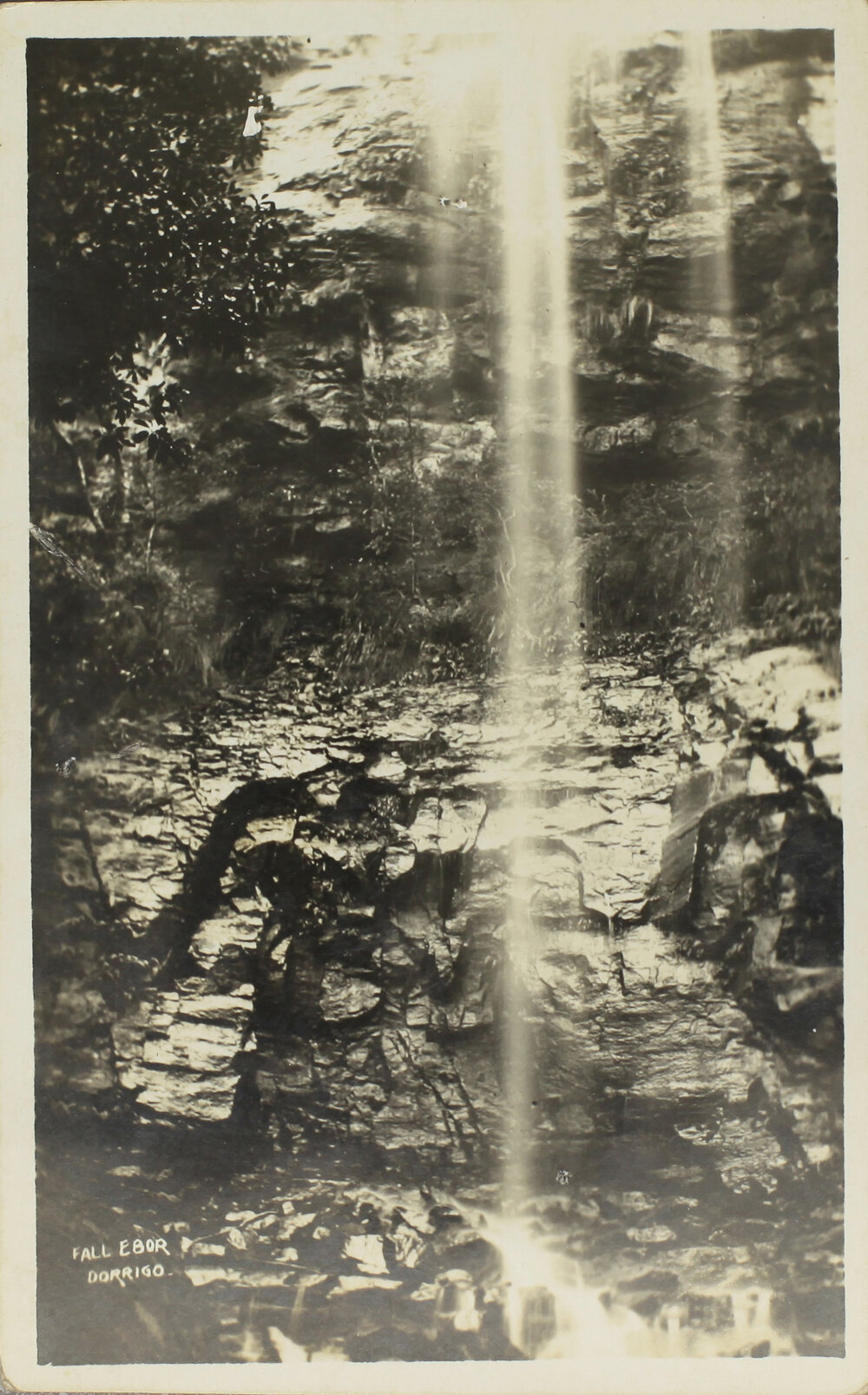 Ebor Falls, Dorrigo, NSW