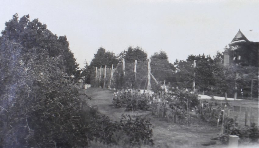 Gardens around the tennis court at Saumarez