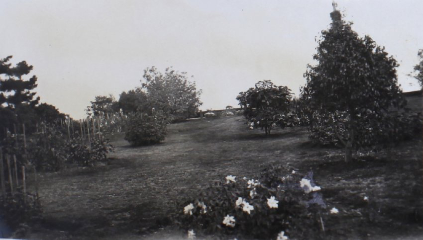 Gardens and lawns at Saumarez