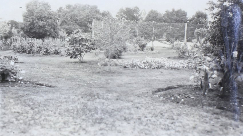 Gardens around the tennis court at Saumarez