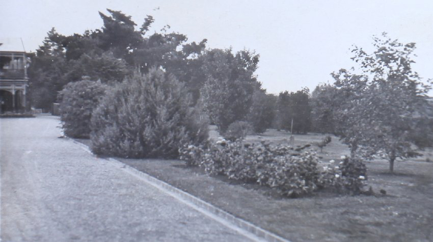 Gardens beside the driveway with the house in the background