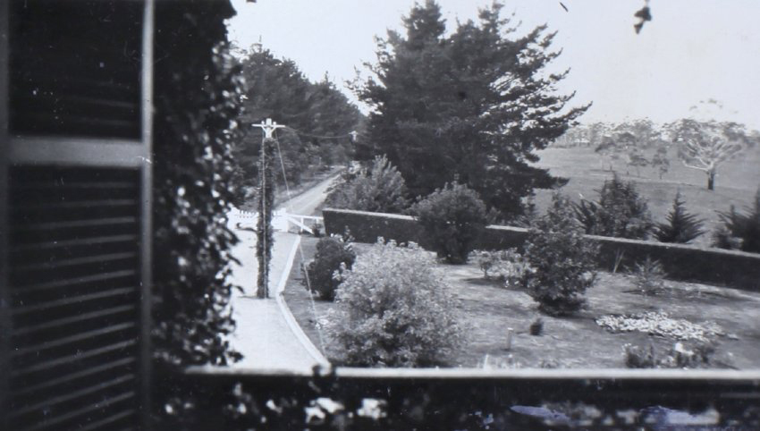 View from house of driveway and gardens