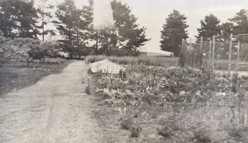 View of gardens with the tennis court on the right