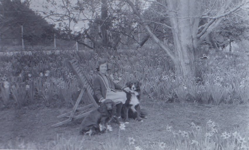 Unidentified girl sitting in the gardens with pet dogs