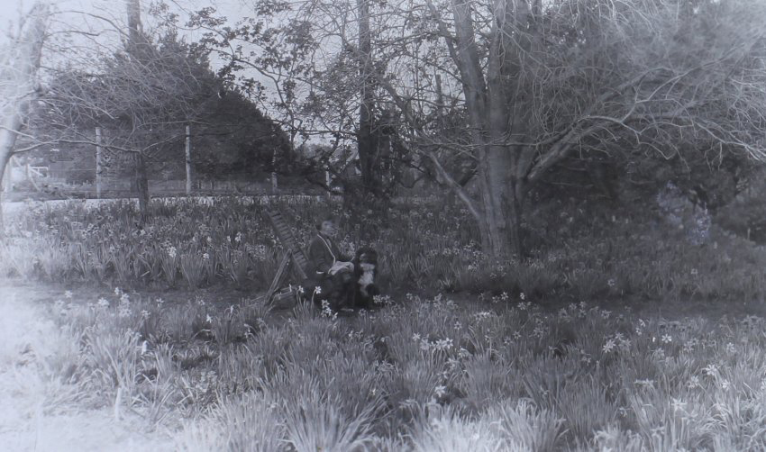 Unidentified girl sitting in the gardens with pet dogs