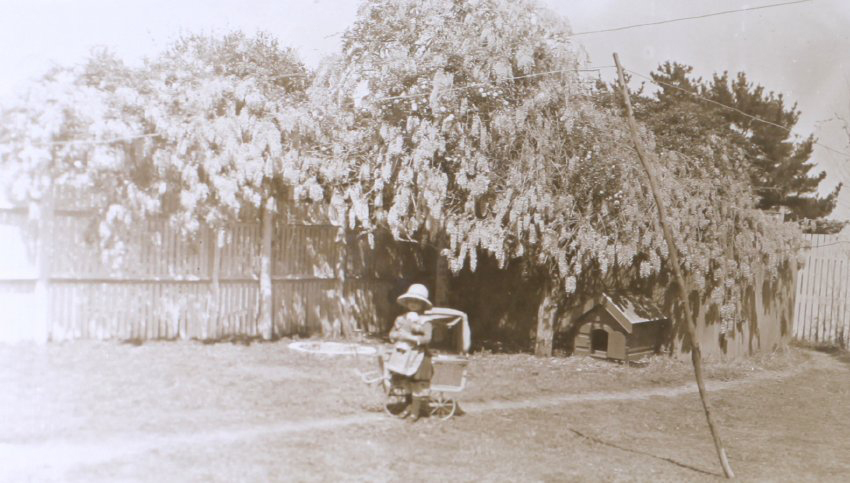 Unidentified girl in the garden