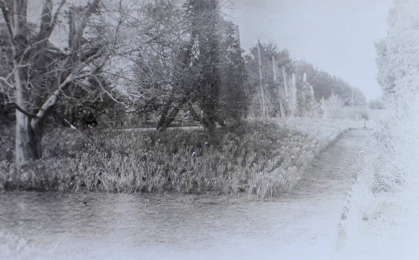 Gardens around the tennis court at Saumarez