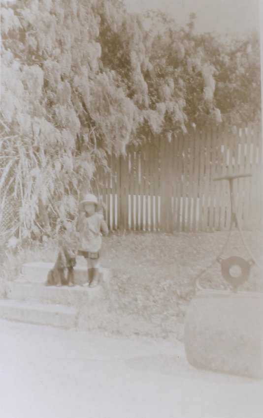 Unidentified girl with a pet dog on the steps near the thennis court