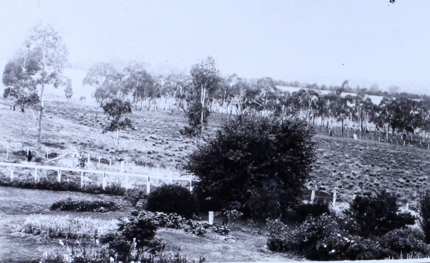 View of some of the garden and paddocks