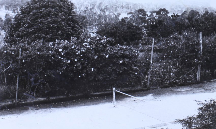 View of gardens beside the tennis court
