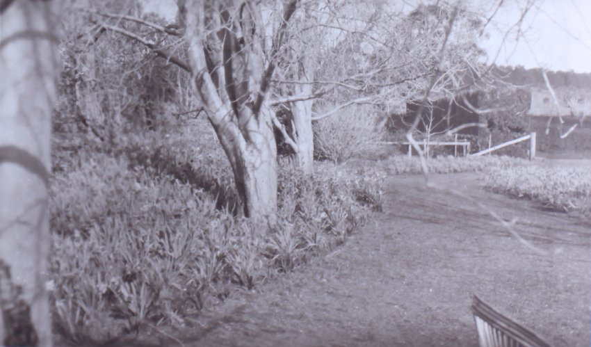 View of the gardens around the tennis court at Saumarez