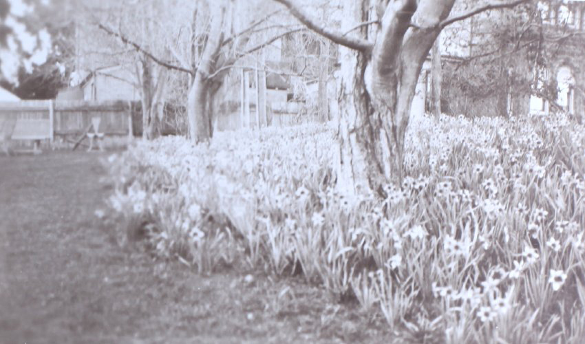 View of the gardens around the tennis court at Saumarez