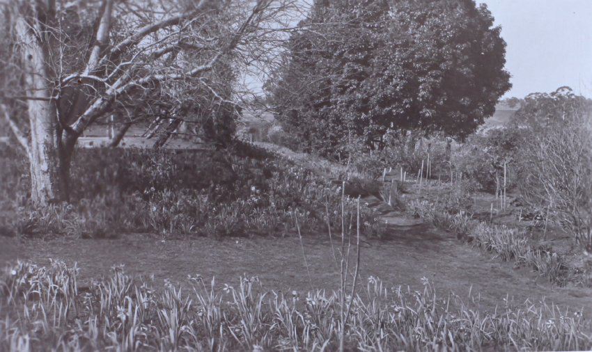 View of the gardens around the tennis court at Saumarez
