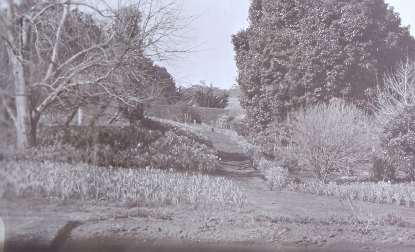 View of the gardens around the tennis court at Saumarez