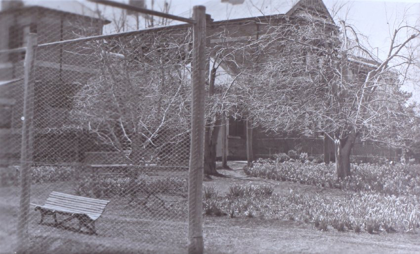 View of the gardens around the tennis court at Saumarez