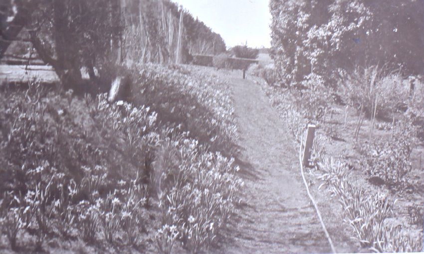 View of the gardens around the tennis court at Saumarez