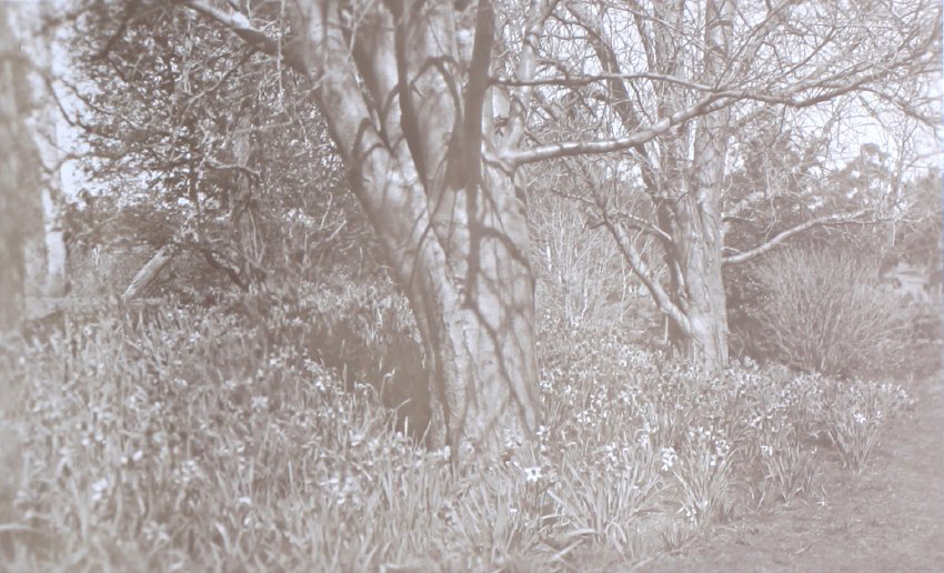 View of the gardens around the tennis court at Saumarez