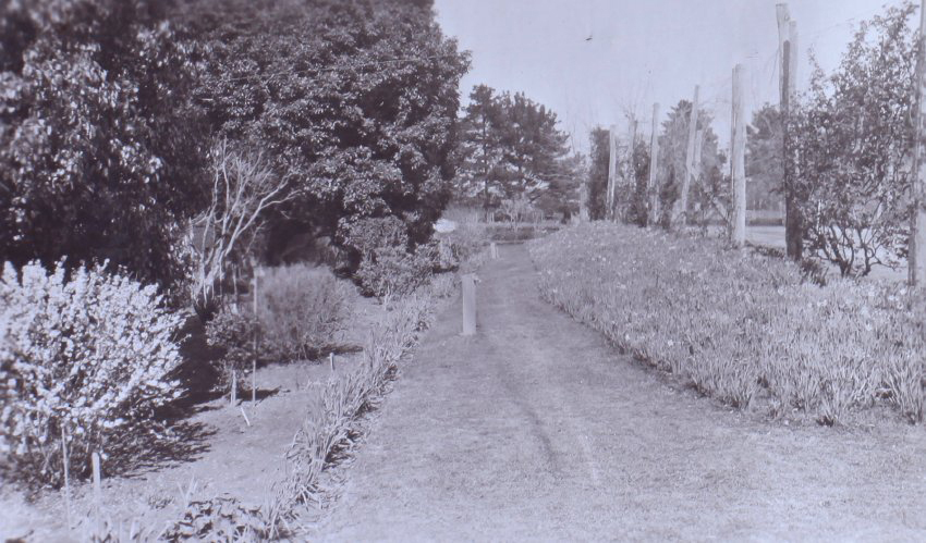 View of the gardens around the tennis court at Saumarez