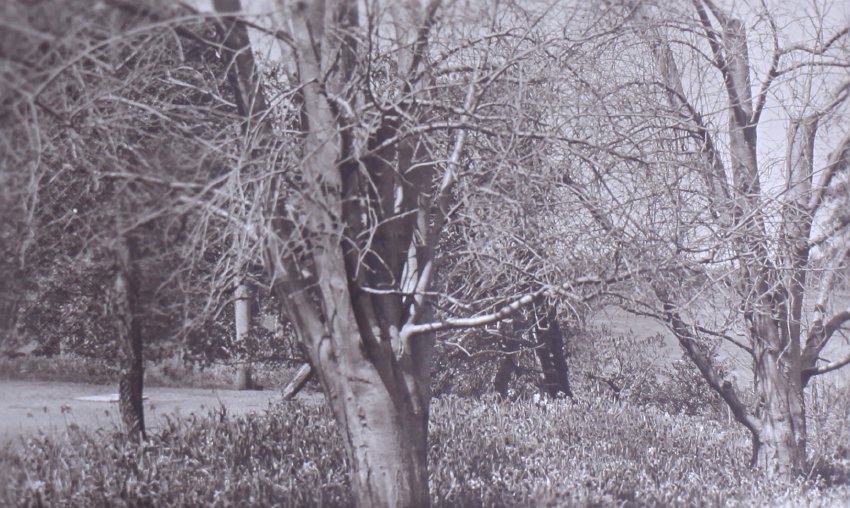 View of the gardens around the tennis court at Saumarez