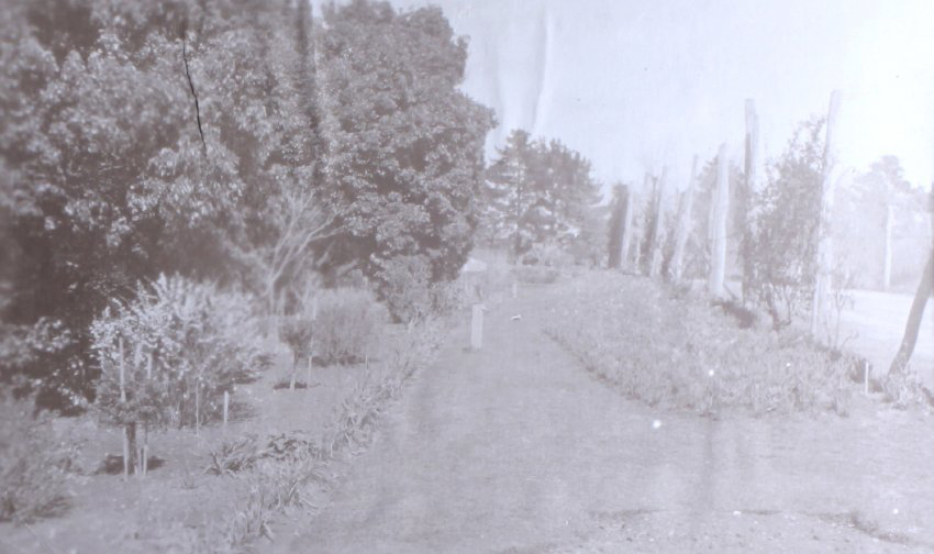 View of the gardens around the tennis court at Saumarez