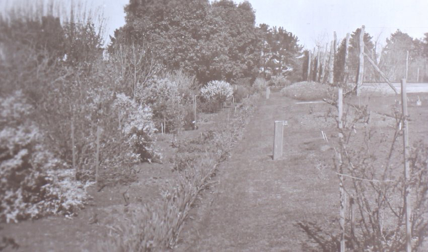 View of the gardens around the tennis court at Saumarez