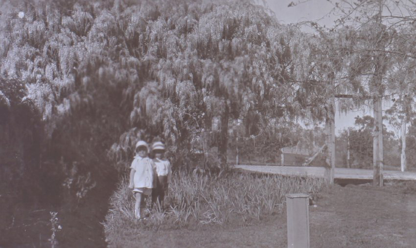 Two unidentified children in the gardens around the tennis court at Saumarez