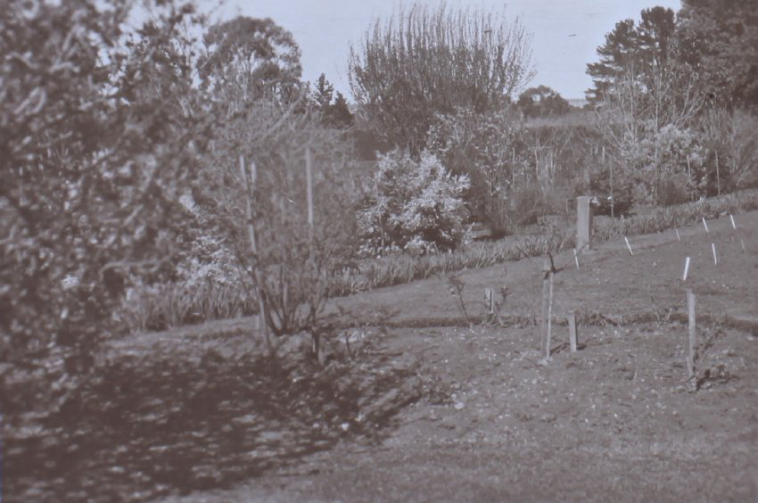 View of gardens at Saumarez