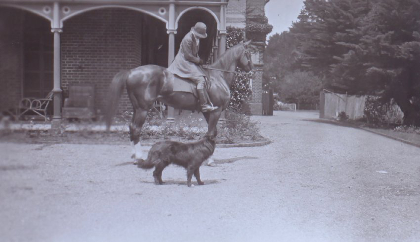 Unidentified woman on a horse on the driveway with a pet dog