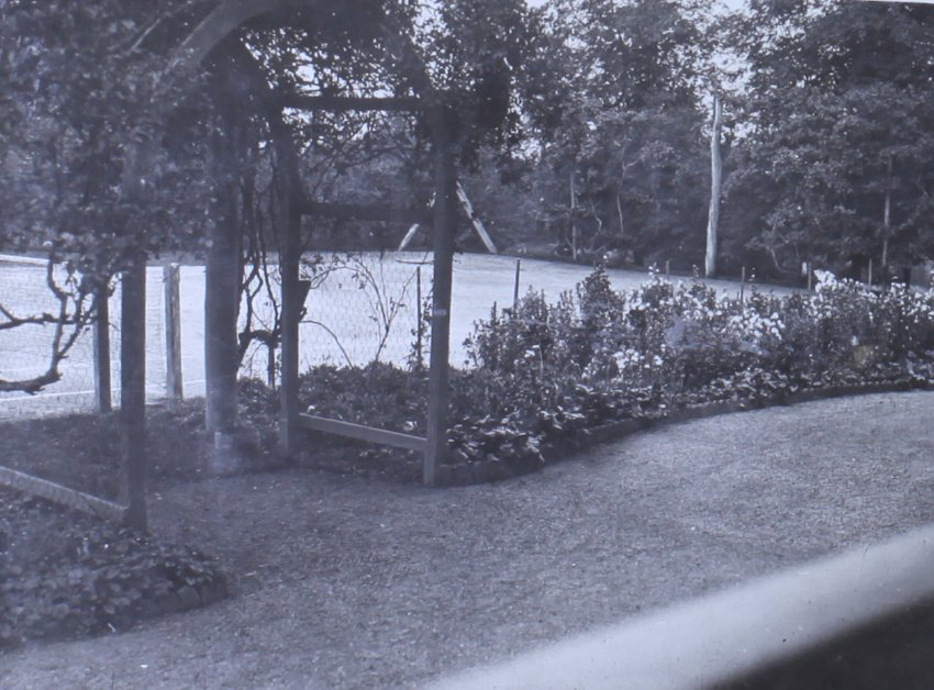Garden beside the tennis court