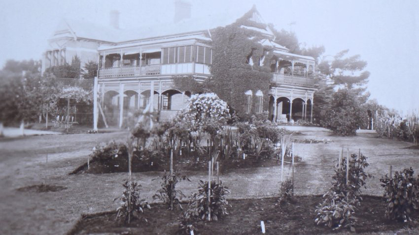 Gardens in front of Saumarez Homestead