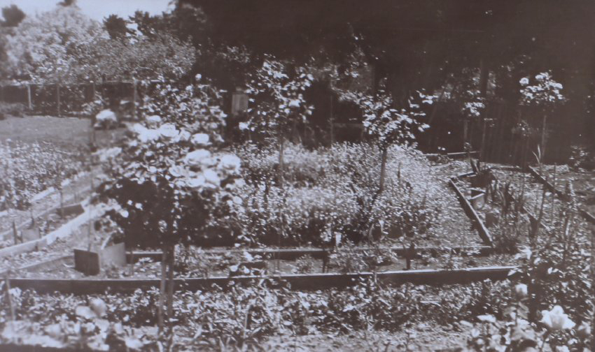 Garden beds at Saumarez