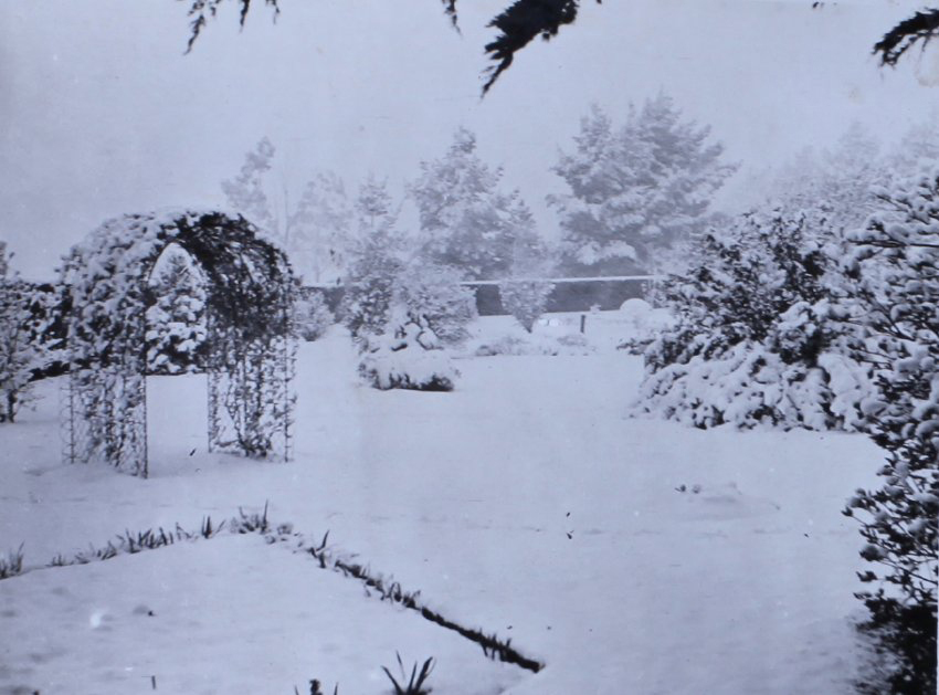 Snow at Saumarez - gardens