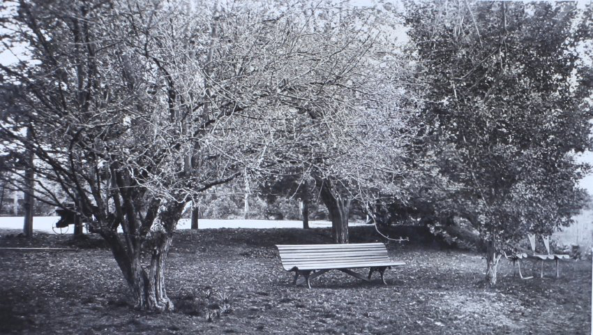 Gardens at Saumarez Homestead