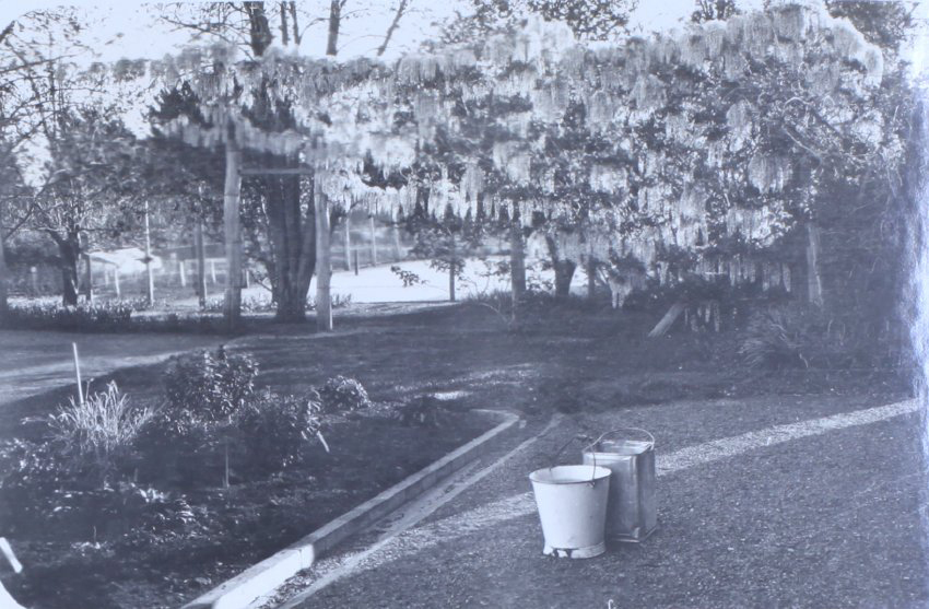 Gardens at Saumarez Homestead