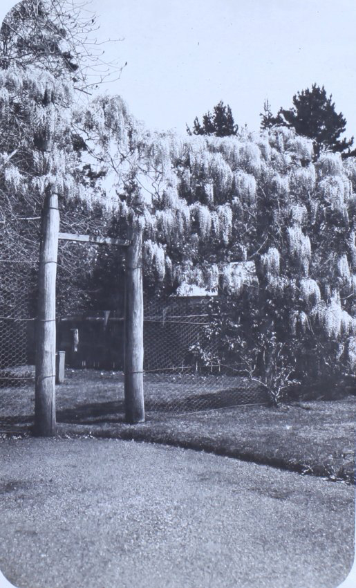 Gardens at Saumarez Homestead